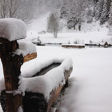 Aparthotel Edy Bruggmann Ag Flumserberg ภายนอก รูปภาพ
