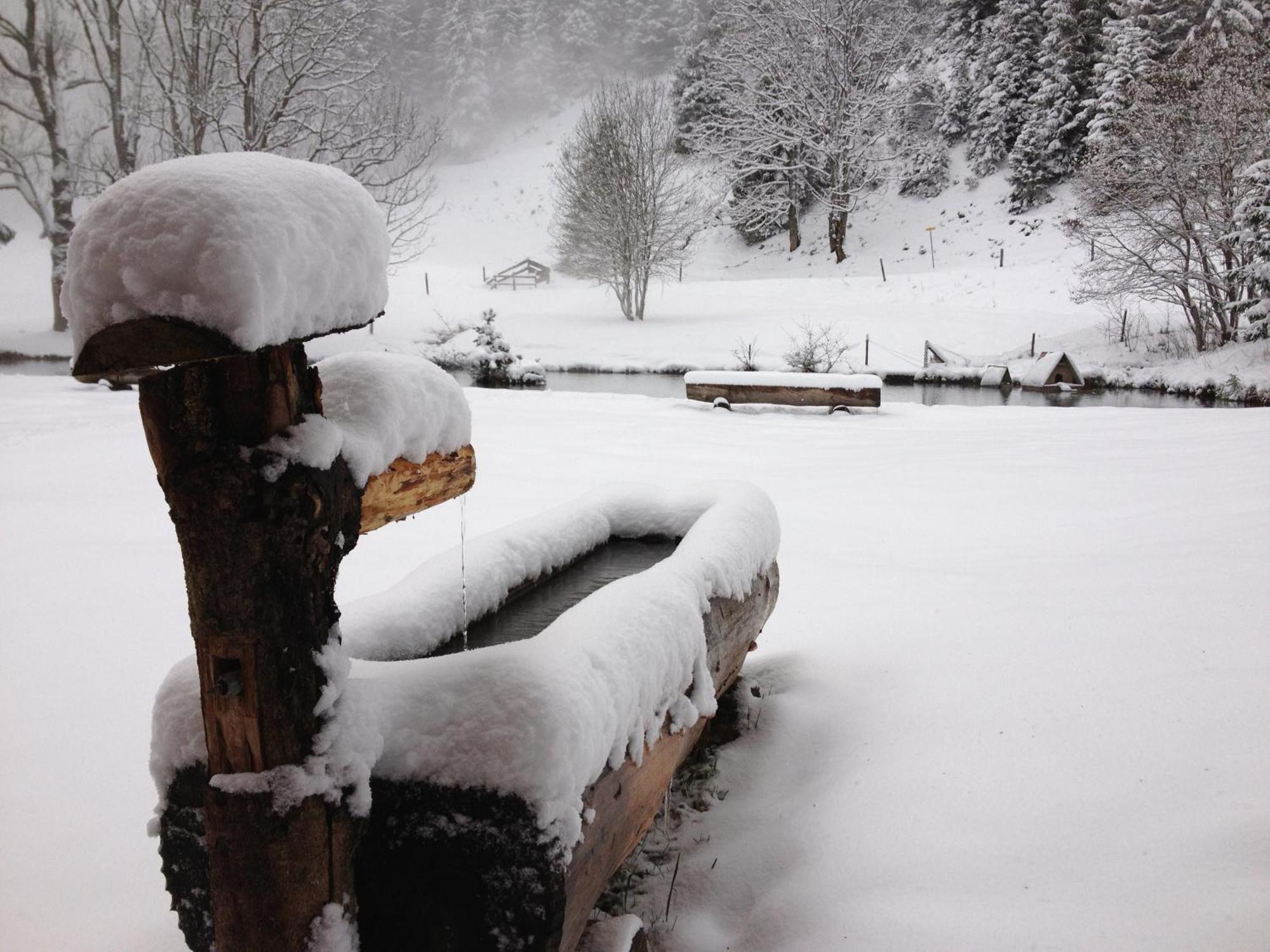 Aparthotel Edy Bruggmann Ag Flumserberg ภายนอก รูปภาพ